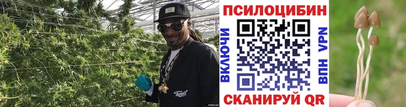 Галлюциногенные грибы ЛСД  Поворино 